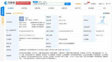 科大訊飛蕪湖設立新公司，拓展科技與房產中介服務